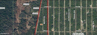 000 Morris Ave, Interlachen, FL 32148