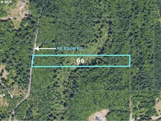 0 NE Elliott Rd Unit 66 782490982, Yacolt, WA 98675