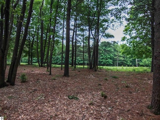 0000-Unit 41 Trailside Dr, Weldon Township, MI 49683