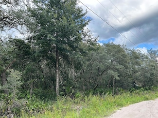 0 SW 152nd Place Unit MFROM683467, Dunnellon, FL 34432