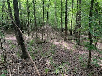 CAVE HOLLOW Ln, Savannah, TN 38372