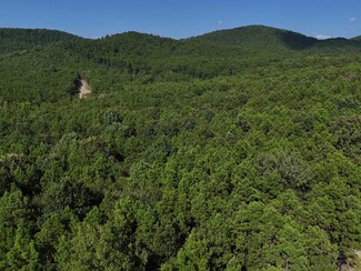 Lot 10 Polk County Road 78, Mena, AR 71953
