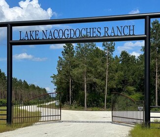 P 38-54 Lakepoint Passage, Douglass, TX 75943