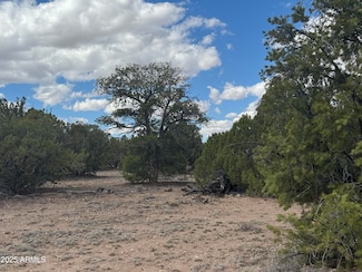 Lot 131 Elk Valley Ranch -- Unit 131, Saint Johns, AZ 85936