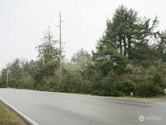 553 Dolphin Ave NE, Ocean Shores, WA 98569