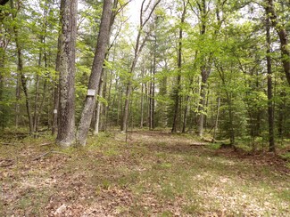 Lot 10 Club Rd, St. Helen, MI 48656