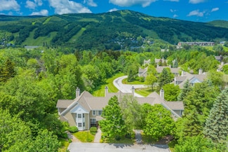 9D Dover Springs Ln, Dover, VT 05356