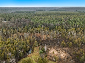 0 N Dennis Rd, Amber Township, MI 49431