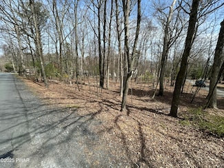 Lot 41 Fox Ct, Delaware Township, PA 18328
