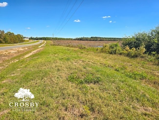 0 Mcrae Hwy, Chauncey, GA 31011