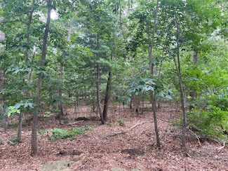 Lot 28 Scout Trail, Ridge, NY 11961