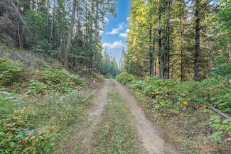 80 Virginia Ln, Newport, WA 99156