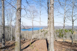 Lot 23 Lillydale Rd, Byrdstown, TN 38549
