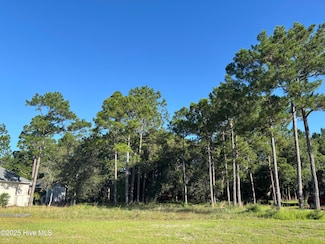 463 Arlington Dr SE, Bolivia, NC 28422