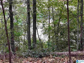 1001 Old Patton Ferry Rd, Adger, AL 35006