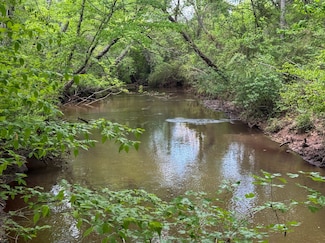 0 County Road 160, Lafayette, AL 36274
