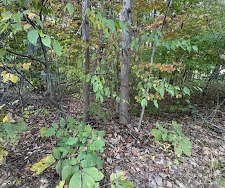 205 Stardust Way, Cloverdale, IN 46120