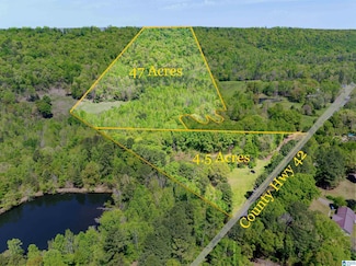 1801 County Highway 42 Unit 42, Oneonta, AL 35121