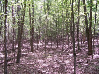 TBD Samsonville Rd, Rochester, NY 12446