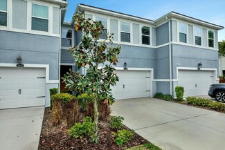 17845 Stella Moon Place, Lutz, FL 33558