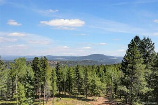 31217 Conifer Mountain Dr, Conifer, CO 80433