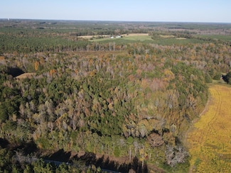 Parcel B S Farmington Rd, Skipwith, VA 23968