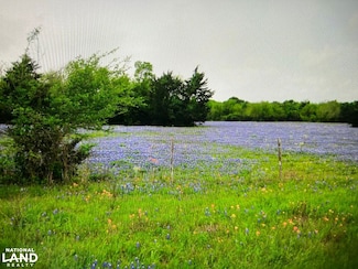 Tbd A0019 Fj Greenwood Unit Track 3 ACRES 82.56, Navasota, TX 77868