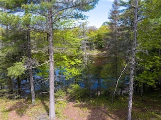 18.29 Acres Tri-Lakes Rd, Drummond, WI 54832
