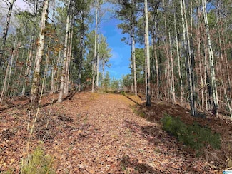 680 Sweet Apple Rd, Pell City, AL 35128