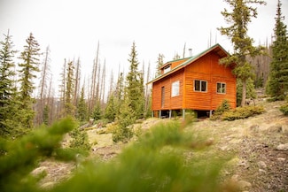 3190 Forest Rd 503, Creede, CO 81130