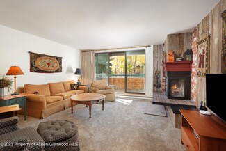 1024 E Hopkins Ave Unit 12, Aspen, CO 81611