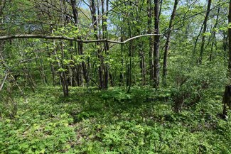 L30 Goldfinch W Redstone Dr, La Valle, WI 53941