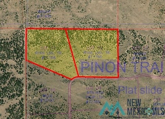 126 Pinion Trails Loop, Pie Town, NM 87827
