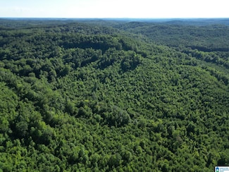 00 Nubbin Ridge Ln, Carbon Hill, AL 35549