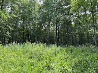 0 Molly Rd Unit 25-803, Crawley, WV 24931