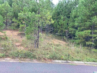 1119 Springhill Ln Unit Estate lot 5, Birmingham, AL 35242