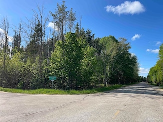 TBD Co Rd 440, Manistique, MI 49854
