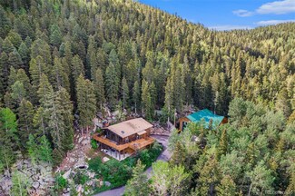 32094 Christopher Ln, Conifer, CO 80433