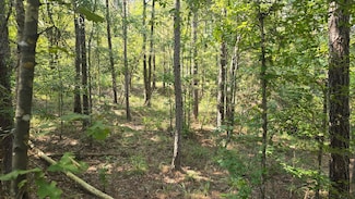 Nelson Corner Rd, Roxie, MS 39661