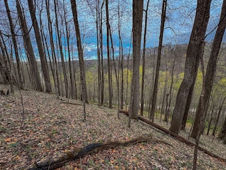0 Lk Little Creek Rd, Creston, WV 26141