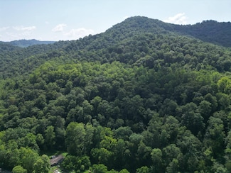 00 Honey-Camp Rd, Nellis, WV 25142