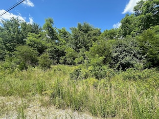 170 Teludachee Trail, Orme, TN 37380