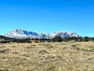 0 Unit 161 24-1234, Walsenburg, CO 81089