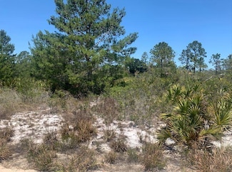 2918 W Gaffney Rd, Avon Park, FL 33825