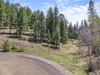 25654 S Black Hawk Trail, Conifer, CO 80433