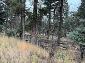 Lot 181 Taos Place, Angel Fire, NM 87710