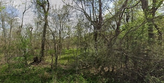 831 Drew's Landing Rd, Goodrich, TX 77335