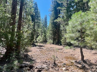 1701 Knob Cone Trail, Johnsville, CA 96103