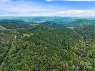 +/- 53 acres John Watson Rd, Rutherfordton, NC 28139