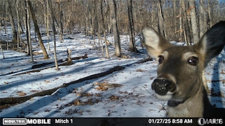 4055 Sleepy Hollow Ln, House Springs, MO 63051